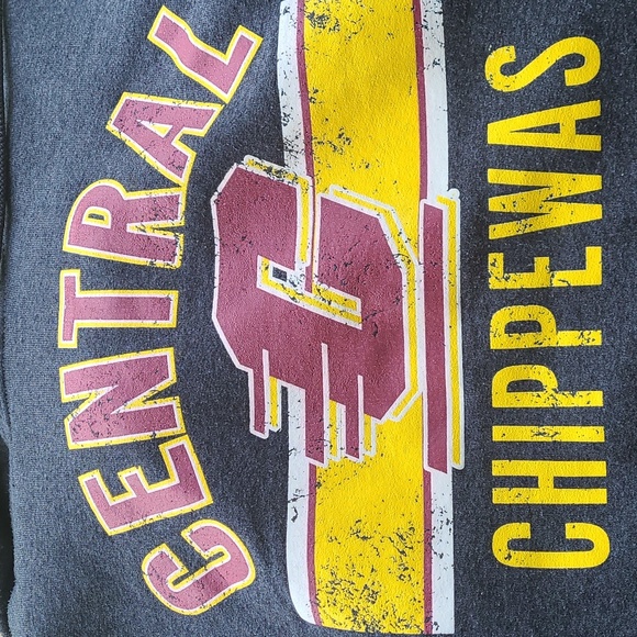 CMU Hoodie - Picture 2 of 4